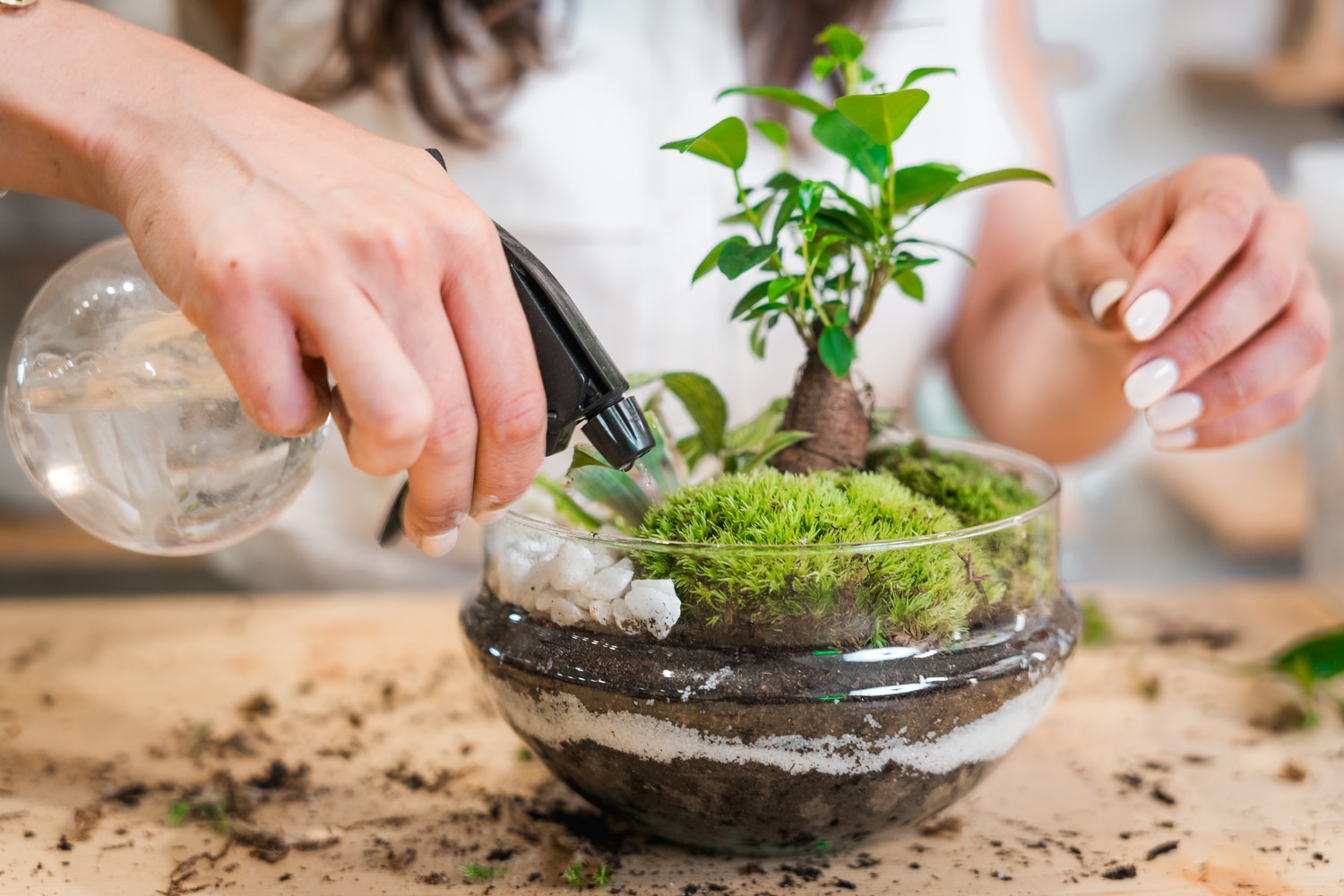 Terrarium Workshop & Afternoon Tea