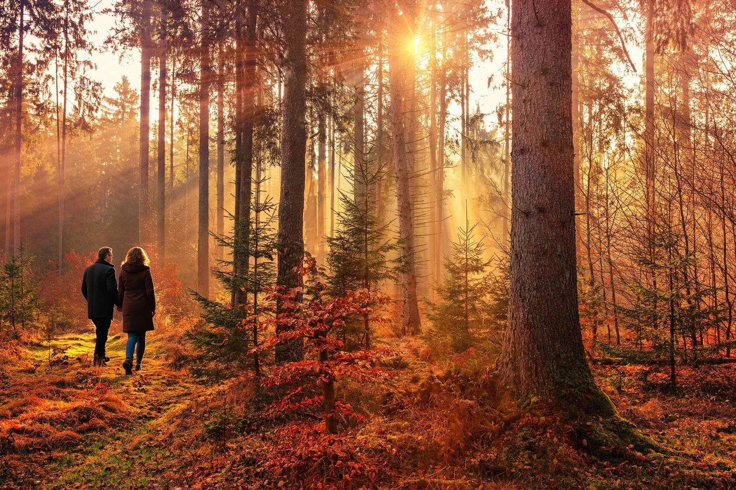 Autumn Escape